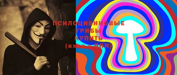 шишки Вязники