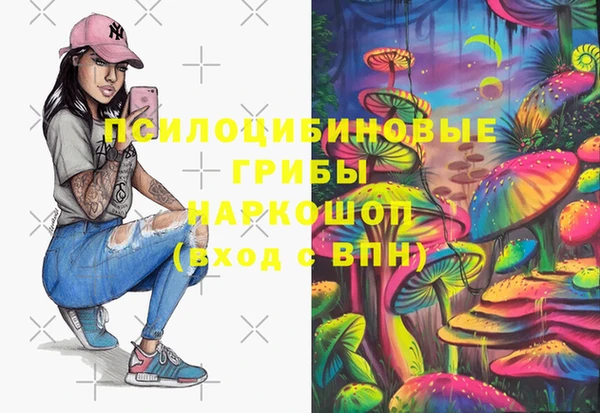 шишки Вязники